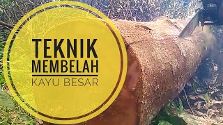 Download lagu Tehnik membelah kayu log dengan chainsaw gergaji mesin Tehnik membelah kayu log dengan chainsaw gergaji mesin