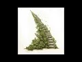 Wiz Khalifa - Up The Ladder (AUDIO)