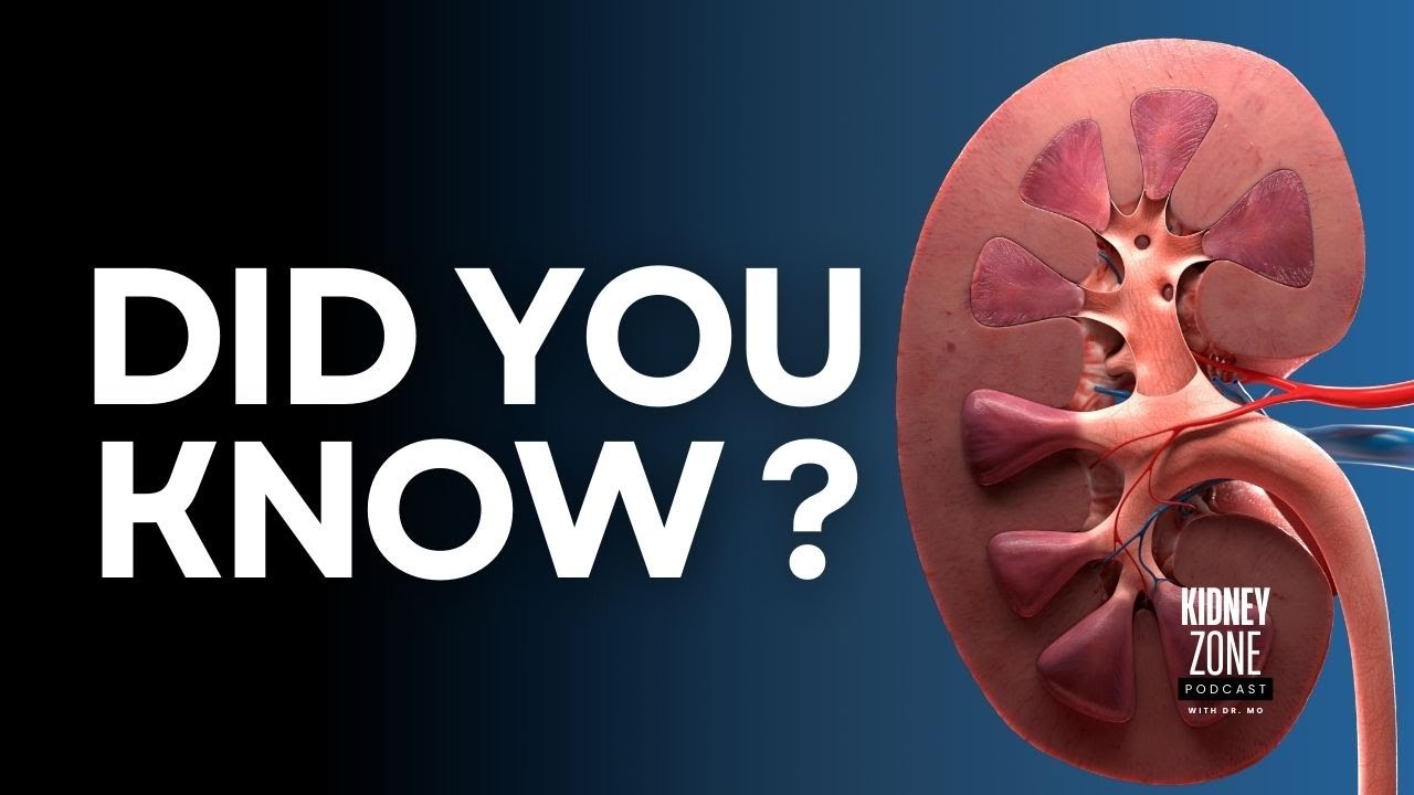 How long does a transplanted kidney typically last? | ep37