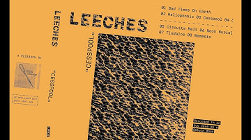 LEECHES - Cesspool [CS]
