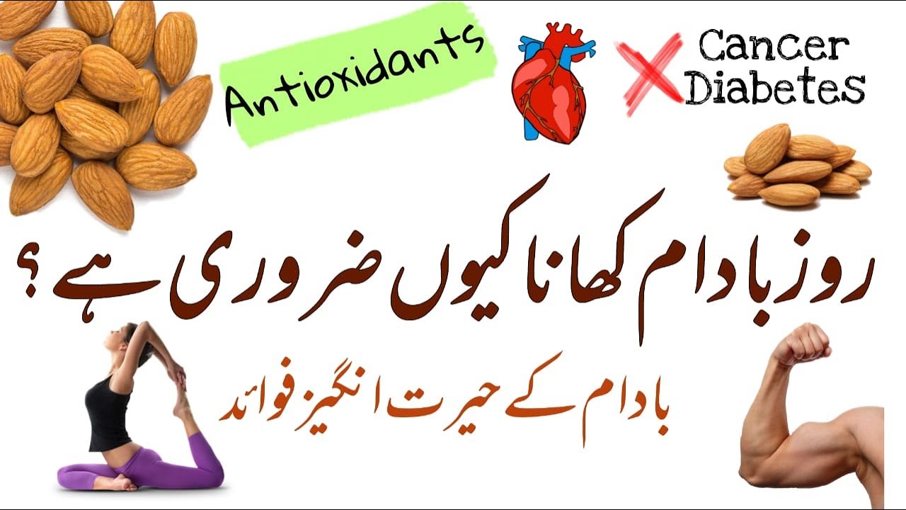 Health Benefits of Eating Almond in Urdu/Hindi Badam Khane Ke Fayde