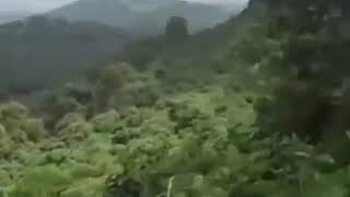 (HI, OKAY) FULL MEME