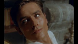 Alain Delon Tribute | Erreur 404