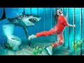 Побег из подводной тюрьмы / Забавные и неловкие моменты
