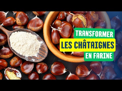 Vidéo: Châtaignes : 5 erreurs à ne pas commettre