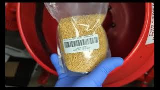 HOMEMADE FIREWORKS | Rolling BLUE stars around mustard seed cores #pyro