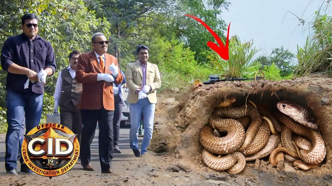 जमीन के अंदर छुपा खौफनाक रहस्य, CID की टीम रह गई दंग! | TV SHOW | 2025