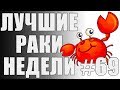 ЛРН выпуск №69. ТАНКОВЫЕ УЧИТЕЛЯ И ХРАБРЫЙ ПОРТНЯЖКА [Лучшие Раки Недели]