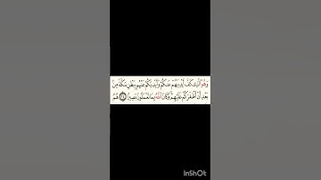 سورة الفتح آية٢٤ #سورةالفاتحة #اكسبلور #الرحمن #سورةالكوثر #لايك #ترند #المصحف #سورةالاخلاص
