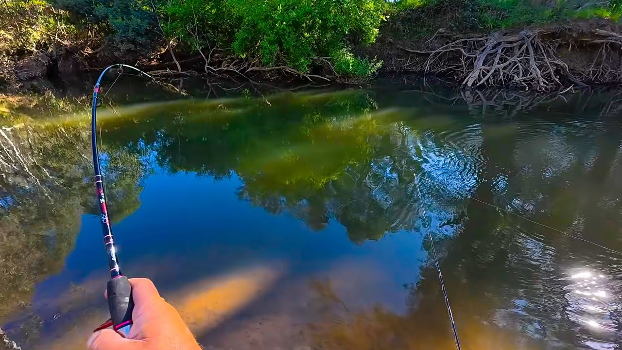 This Fishing Trip Was Saved by The Bell