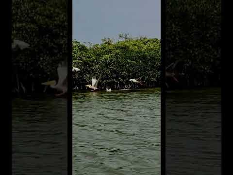 حاسة بسعادة وذا احساس خطير ترند السعودية Explore تصويري سفر بلقيس