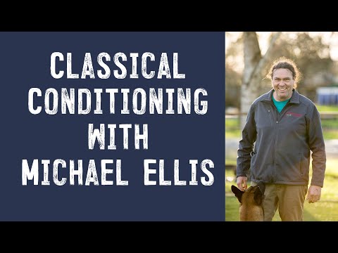 Classical Conditioning with Michael Ellis