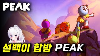 푸린 개꿀잼 등산게임으로 설백이랑 합방