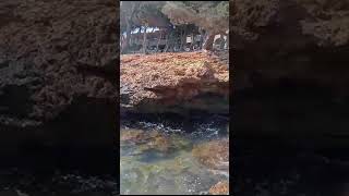 Santa Eulalia del Río (Santa Eulària des Riu, Baleares) | Viaje a Ibiza