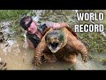 WORLD RECORD ALLIGATOR SNAPPING TURTLE | Dangerous Monster Catch With Bare Hands!   200+lbs!