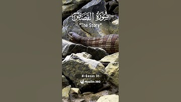 Surah Al-Qasas 31 | Hindi - Urdu Audio translation | سورة القصص #alqasas #hindi #urdu