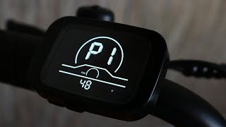 Engwe L20 - Hidden P Settings