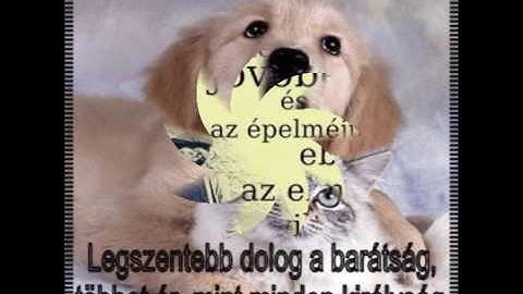 Örök Barátság