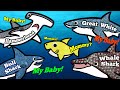 Who's Baby Shark's Mommy? | Learn about different Shark Species