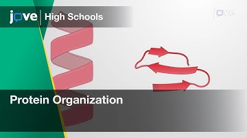 Protein Organization | Cell Bio | Video Textbooks - Preview
