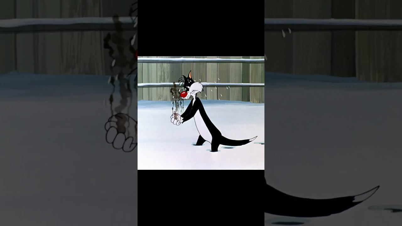 Tom Jerry and cartoon