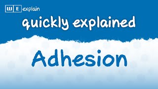 What is #adhesion How surface adhesion between materials occurs #explained