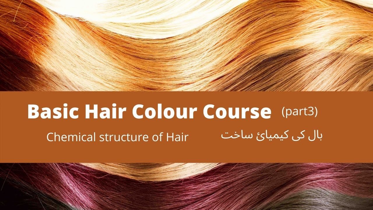Basic Hair Colour Course (Part3) بال کی کیمیائ ساخت YouTube