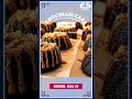“Cinematic Food Promo | Motion Design”