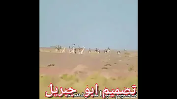 غزال السودان 2010 