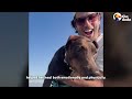 97-Pound Doberman Gets A Second Chance At Life | The Dodo