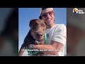 97-Pound Doberman Gets A Second Chance At Life | The Dodo