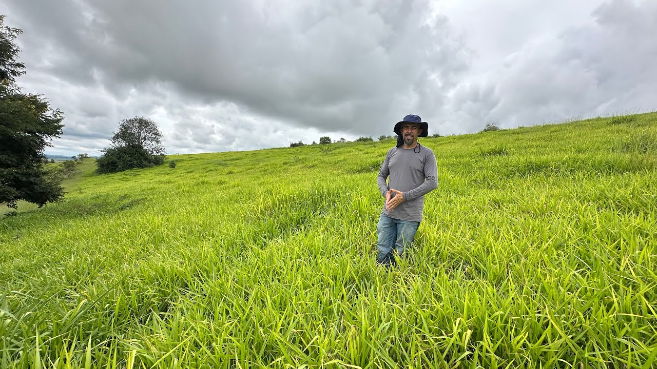 Propriedade a venda um dos melhores terrenos já gravados a 8 km do asfalto e documentada.