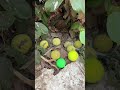 Best Of Day Of Lifeвќ пёЏрџ рџЏ Nostalgia Childhoodmemories 90skids Relatable Best Of Day Of Lifeвќ пёЏрџ рџЏ Nostalgia Childhoodmemories 90skids Relatable