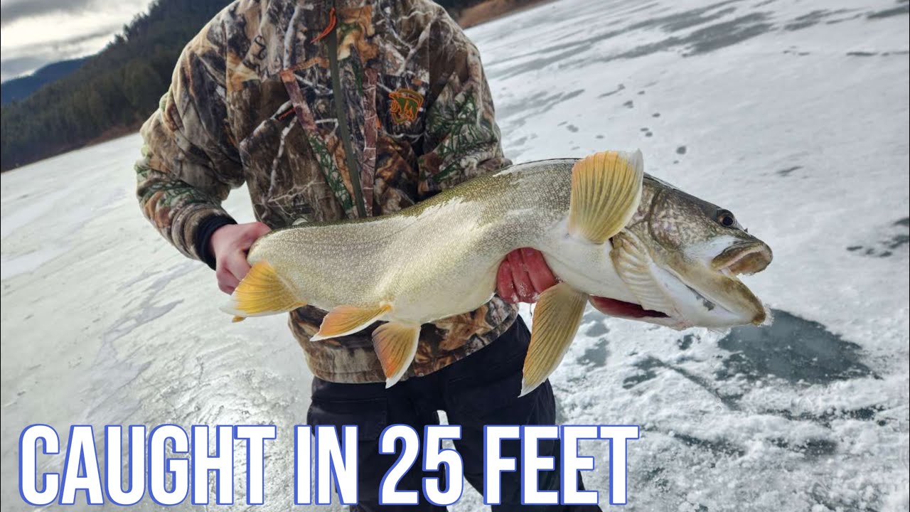 2 days of catching MONSTER lake trout in shallow water! - YouTube