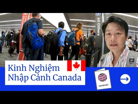 Video: Hoạt động hàng đầu phải làm ở Montreal vào tháng 11