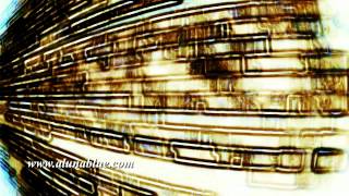 Ultra Hd 4K Video Backgrounds