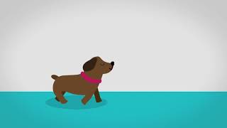 Our Video Motion Graphic for ZooRest app ad Veterinary Care screenshot 1