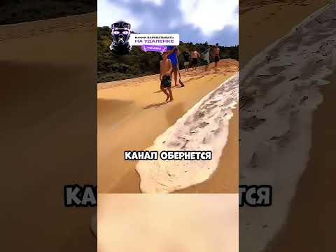 Они думали что ничего этим не сделают!.. 🥹❤️ #shorts #shortsvideo