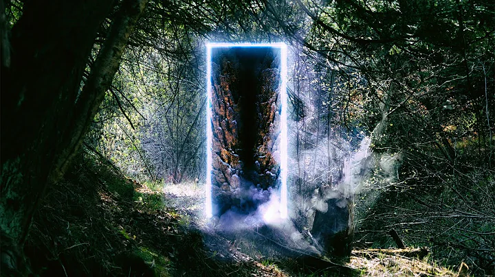 Altus - Hidden Realms and Vacant Spaces (2022)