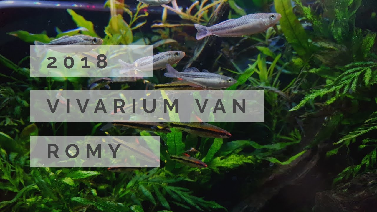 Vivarium 2018
