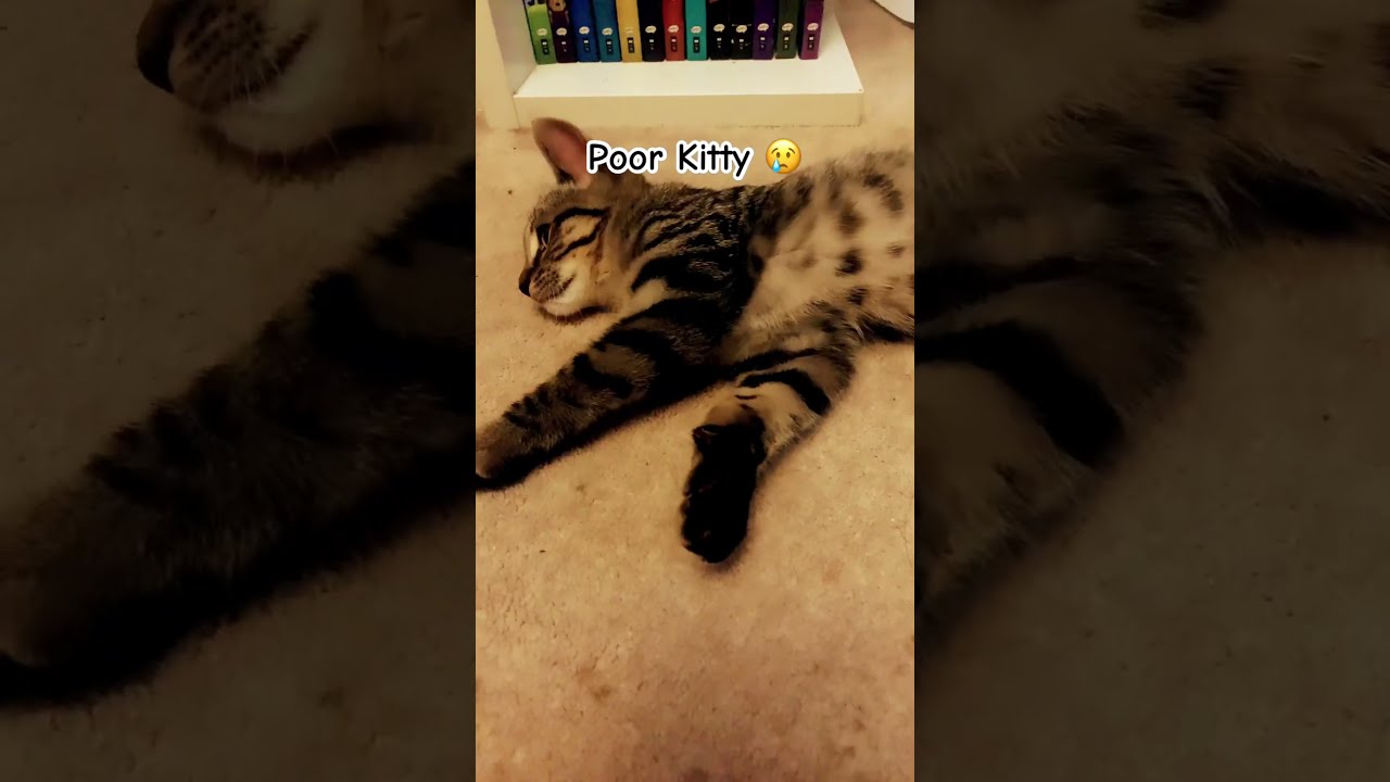 Please Like And Subscribe Memes Funny