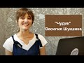 Чудик - Василия Шукшина, анализ произведения, образы героев