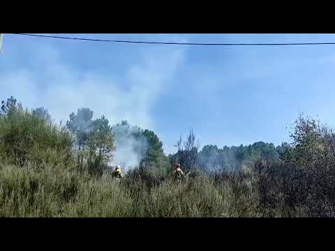 V&Iacute;DEO | Controlado un lume en &Aacute;bedes, preto da lonxa verinense