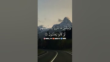 ماهر المعيقلي - سورة البقرة ( برواية حفص عن عاصم ) الأية 102 - 103