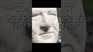 Consul Bust: The Form of Hair