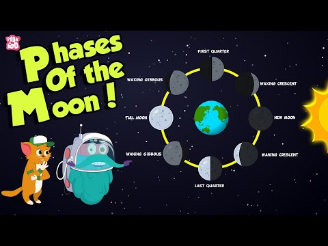 Video: Does The Harvest Depend On The Moon?