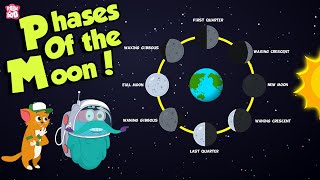 Phases Of The Moon | Why Does The Moon Change Its Shape? | Space | Dr Binocs Show | Peekaboo Kidz Resimi