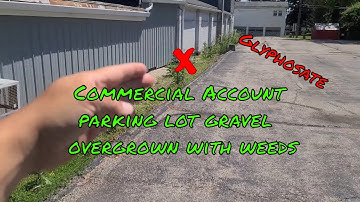 Commercial Account parking lot gravel  OVERGROWN with weeds : Spraying Weeds : Glyphosate