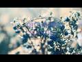 [เนื้อเพลง/คําแปล] SCANDAL - girl is ghost