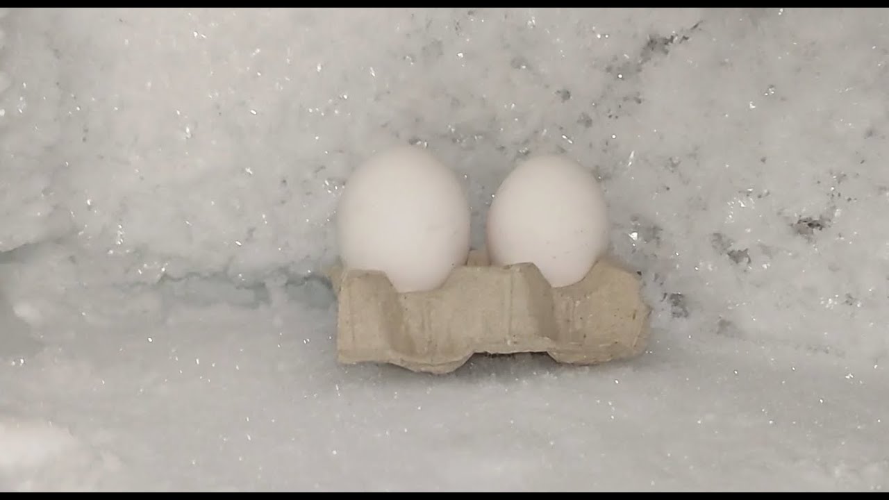 Cooking Frozen Eggs Every Way to Cook an eggs frozen recipe 